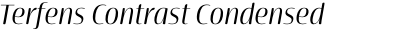 Terfens Contrast Condensed Regular Italic